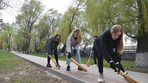 Воронежских школьников будут привлекать к общественно полезному труду