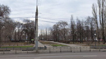 При поддержке губернатора Александра Гусева обновят сквер Защитников Воронежа