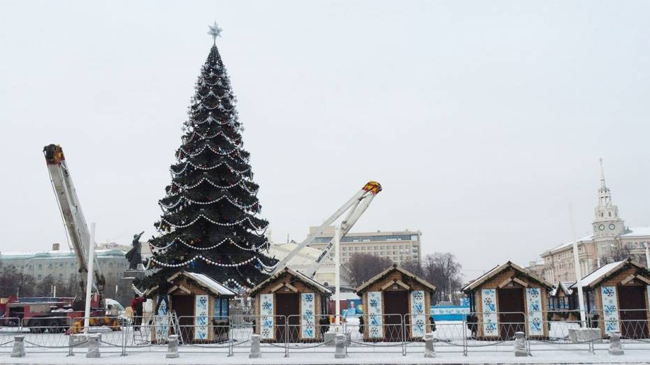 На площади Ленина в Воронеже установят 26-метровую новогоднюю елку за 1,1 млн рублей