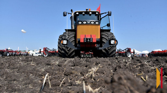 В Воронежской области отменили режим ЧС из-за гибели урожая