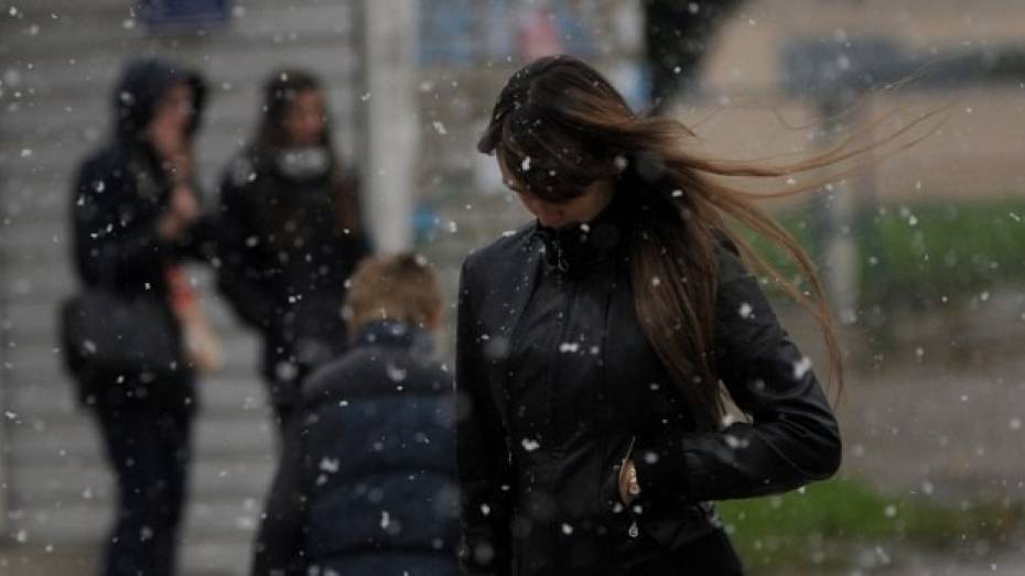Спасатели предупредили жителей Воронежской области о мокром снеге и ветре