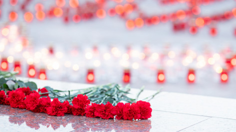 Губернатор Александр Гусев обратился к воронежцам в День памяти и скорби