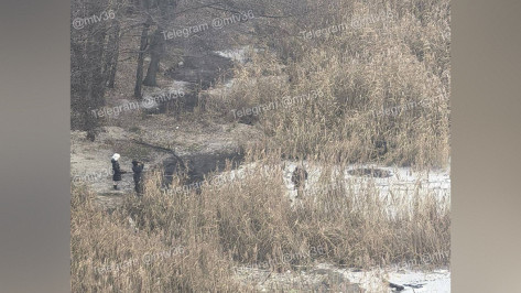 На Воронежском водохранилище дети ходят по тонкому льду