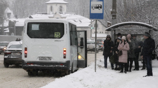 Синоптики: метель в Воронеже закончится в выходные