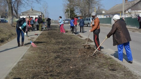 В Воронежской области составят рейтинг самых чистых районов 