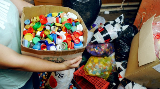 За 2018 год в Воронеже на контейнерных площадках собрали 545,4 т пластика