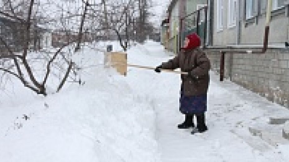 За сутки в Богучарском районе выпало 30 сантиметров снега