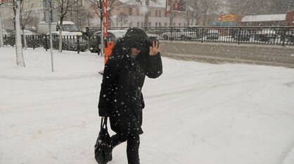 Снежную и морозную рабочую неделю спрогнозировали метеорологи в Воронеже