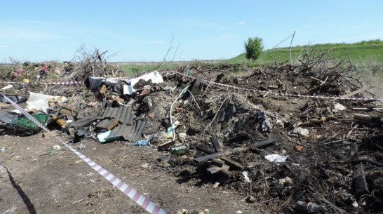 Свалка отходов с кладбищ в Воронежской области нанесла ущерб на 10,6 млн рублей