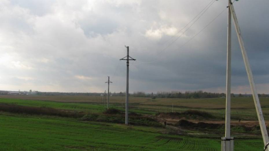 Житель Воронежской области погиб при попытке подключить электричество дачникам