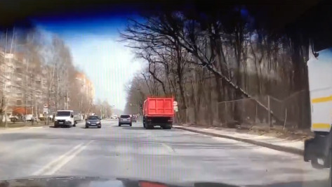 На видео сняли падение дерева перед самосвалом в Воронеже