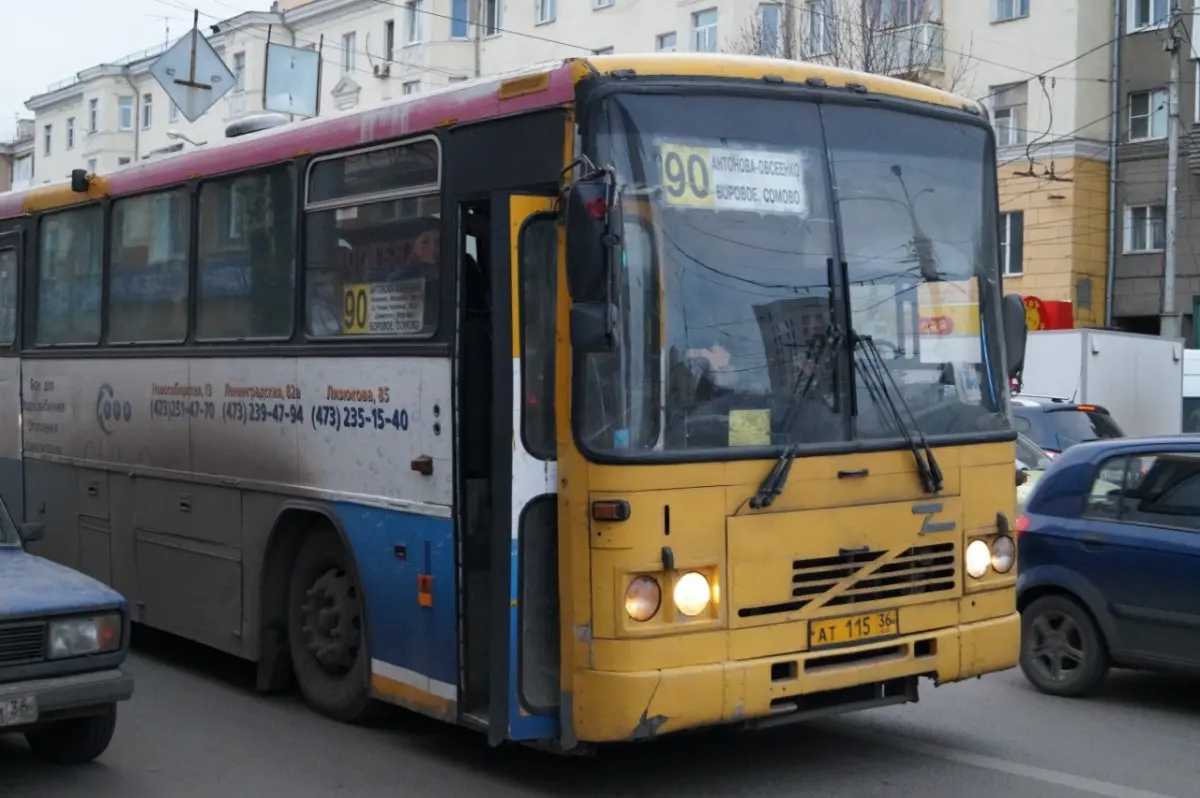 В Воронеже с Нового года останется 112 автобусных маршрутов