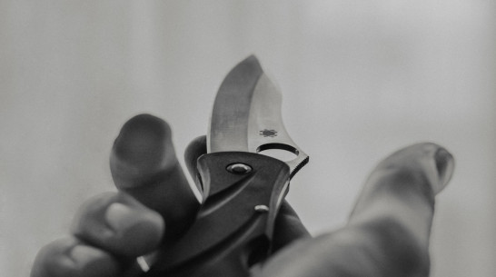 Жительница Воронежа громким криком спугнула 24-летнего разбойника с ножом