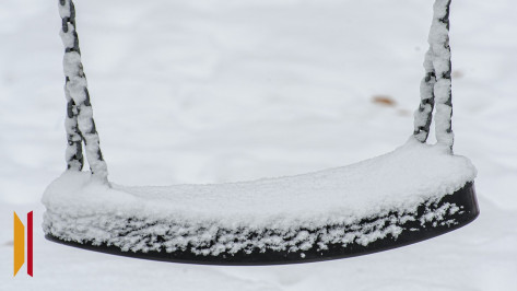 За ночь снежный покров в Воронеже достиг 2 см