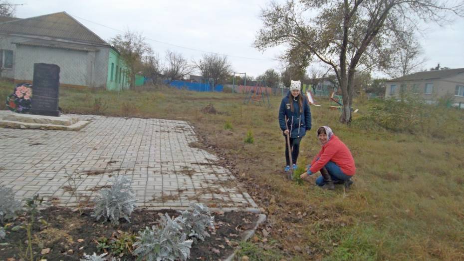 Жители нижнедевицкого села озеленили сквер