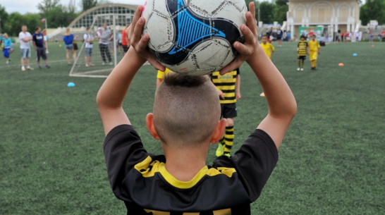 Ассоциация «Черноземье» разберется в конфликте воронежских детских футбольных команд