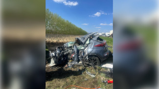 В Воронежской области KIA вылетел на встречку и врезался в фуру: погибли 2 человека