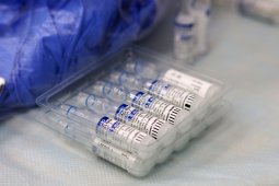Прививки от коронавируса сделали 1,39 млн жителей Воронежской области