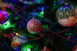 Воронежцам объяснили, как выбрать хорошую новогоднюю елку