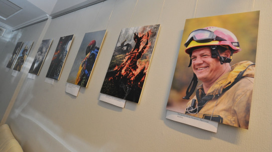 В Воронежском доме журналистов показали фотографии лесных пожаров