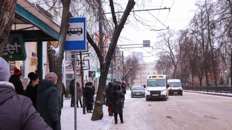 В Воронеже появятся три новых автобусных маршрута