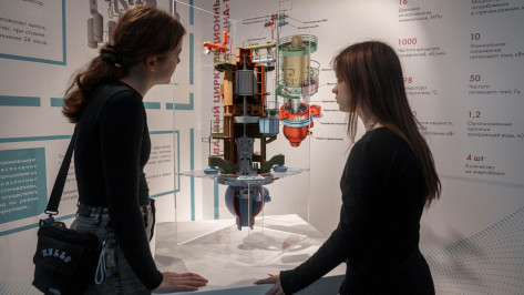 НВ АЭС: школьников Луганска и Донецка познакомили с профессией атомщика