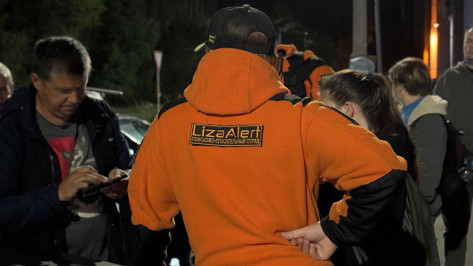 В Воронежской области за неделю пропали три ребенка