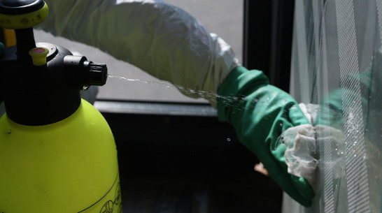 В Воронежской области потратят до 14 млн рублей на дезинфекцию в очагах инфекций