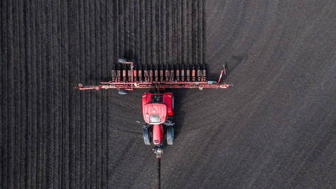 Воронежские агропредприятия ГК «Продимекс» приступили к частичному пересеву сахарной свеклы
