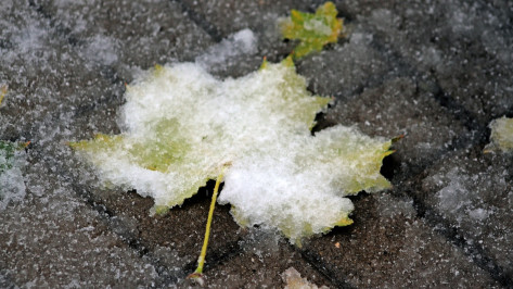 Воронежцы поделились кадрами первого снега