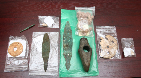 В Воронеже появится Институт проблем сохранения культурного наследия Центрального Черноземья 