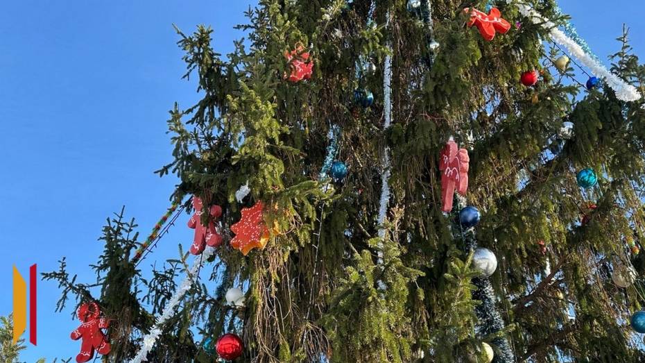 В Таловой жителей попросили подарить райцентру новогоднюю ель