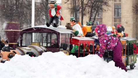 Общественники пожаловались в прокуратуру из-за плохой уборки снега в Воронеже