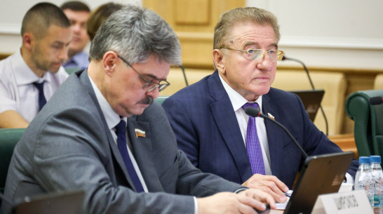 Воронежский сенатор Сергей Лукин представил законопроект об энергоэффективности жилого фонда