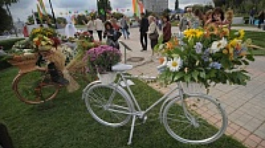 Гид РИА «Воронеж»: выставка «Воронеж - город-сад»