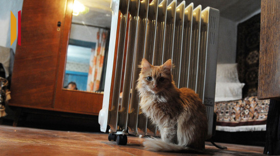 Воронежская область побила рекорд по потреблению электричества из-за мороза