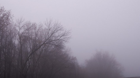 Пропавшего в Воронеже 30-летнего мужчину нашли мертвым