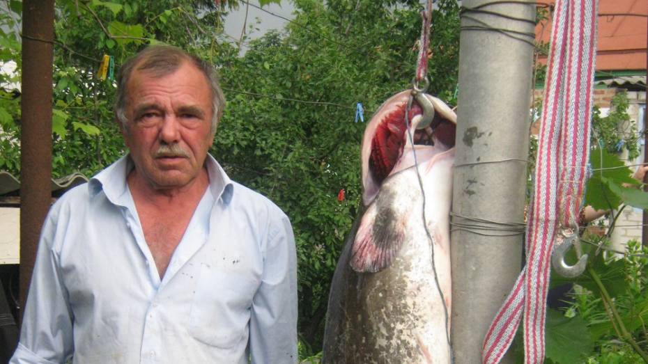 Петропавловский рыбак поймал сома весом 34 кг
