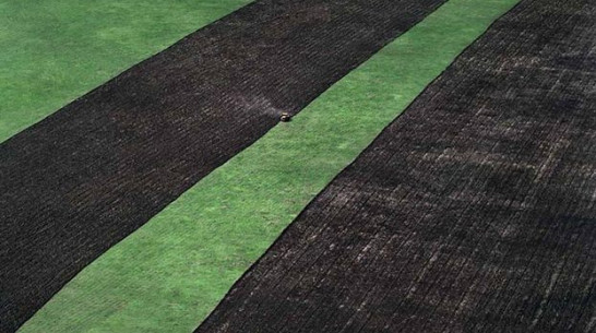 Панинский район готовит полеводческую революцию