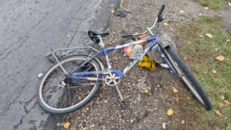 В Воронежской области КамАЗ насмерть сбил велосипедиста