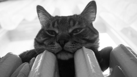 В Воронеже отопление включили в 2140 многоквартирных домах