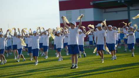 Власти Воронежской области подсчитали спортивные расходы 2014 года