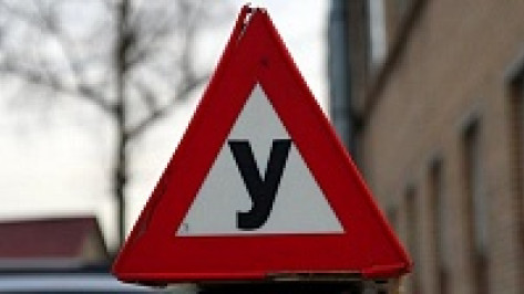 Владимир Верзилин: Надо ужесточить медицинский осмотр для слушателей воронежских автошкол