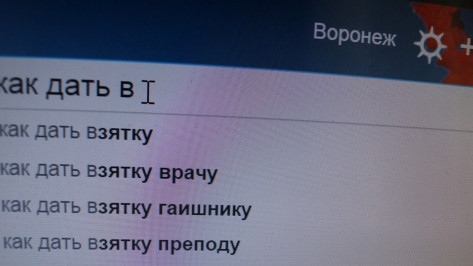 Под Воронежем суд запретил сайт с советами для взяткодателей