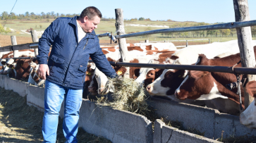 В Подгоренском районе фермер получил на развитие молочного животноводства 22 млн рублей