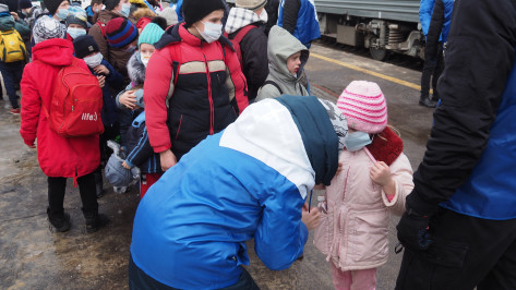 В Воронежской области запустили единую горячую линию для эвакуированных из ДНР и ЛНР