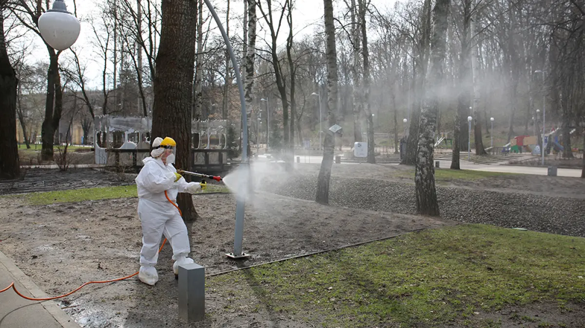 В Воронеже дополнительно обработают от клещей 13 парков и скверов