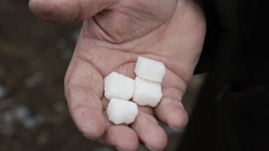 На 20% меньше сахара произвели в Воронежской области из-за засухи