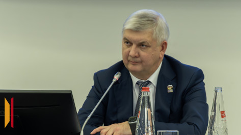 Губернатор Воронежской области Александр Гусев возглавил региональное отделение «Единой России»