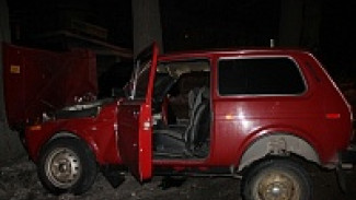 В Воронеже на Машмете «Нива» врезалась в дерево»: двое пострадавших